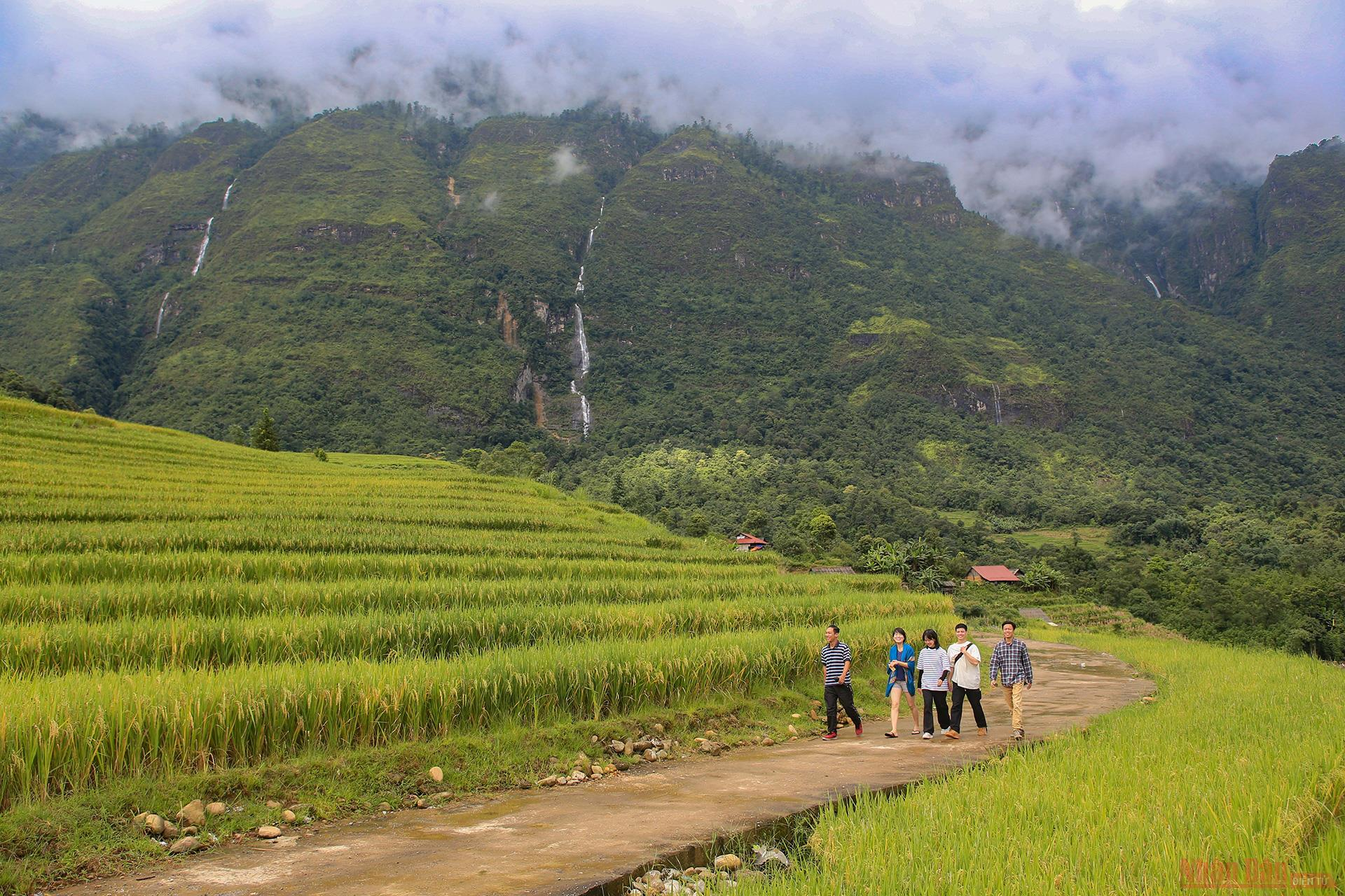 Magnificent Y Ty Plateau in ripening rice season 2943 207