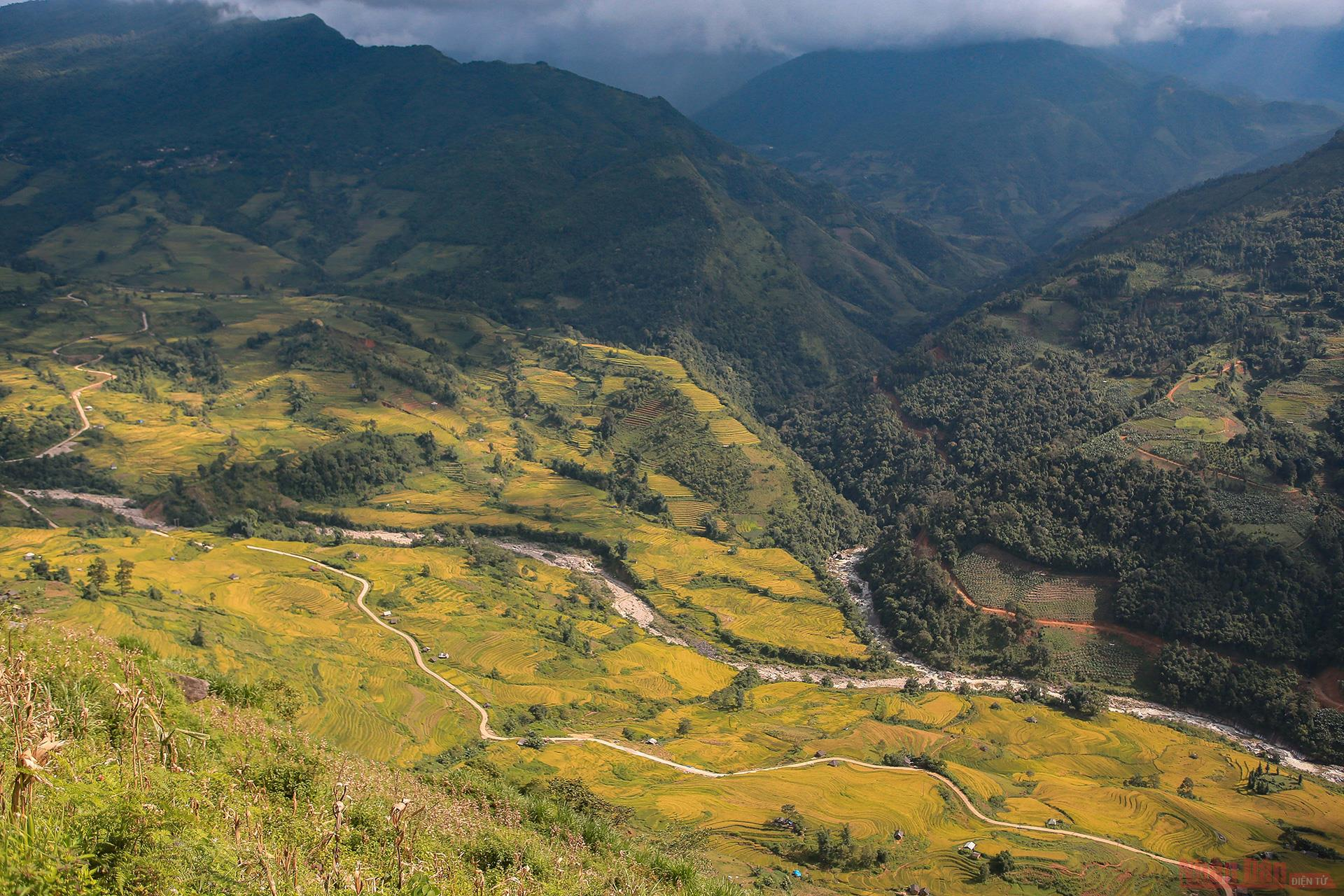 Magnificent Y Ty Plateau in ripening rice season 3140 209