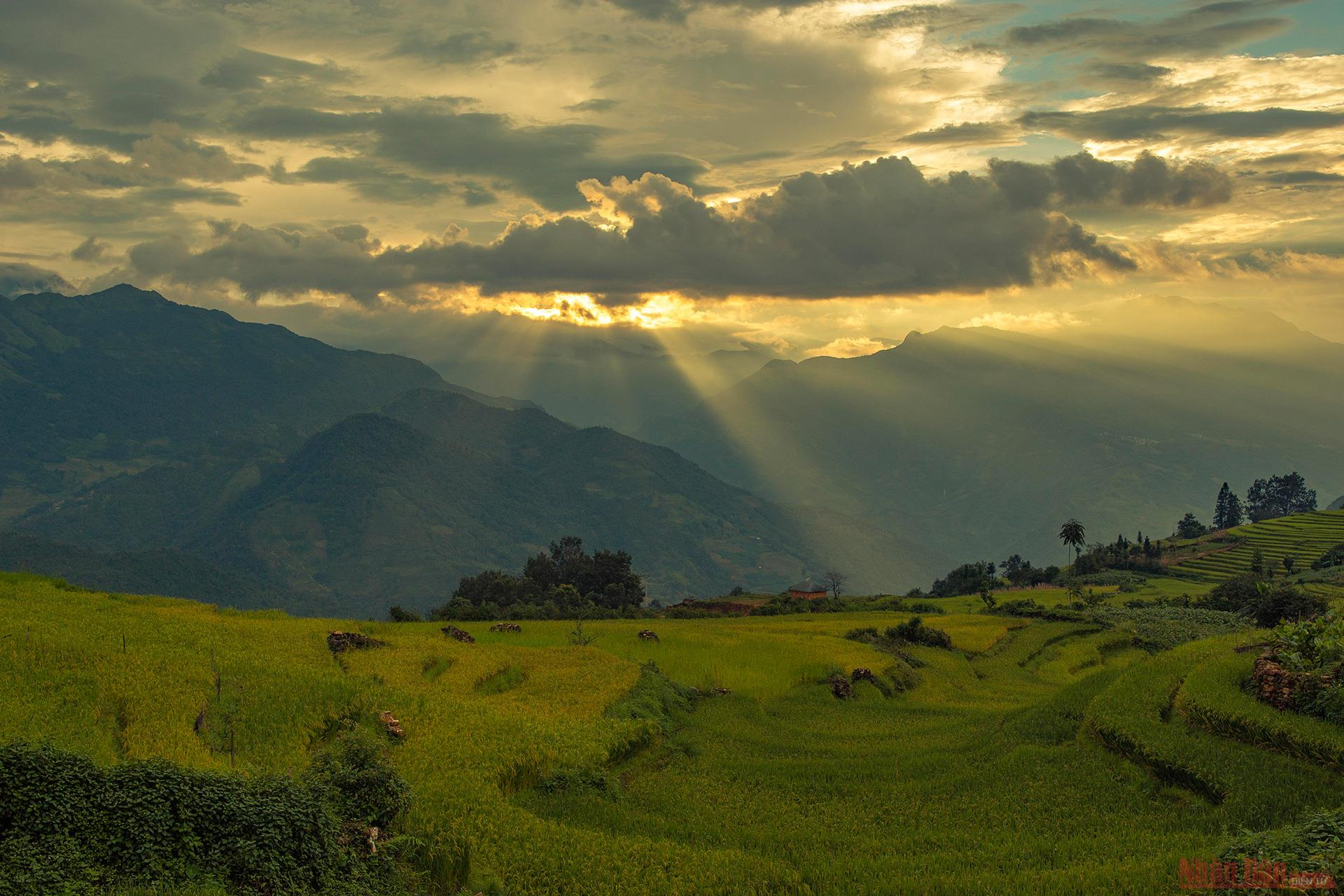 Magnificent Y Ty Plateau in ripening rice season 3424 213