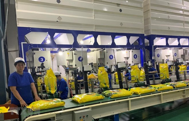first vietnamese batch of rice to export to eu with zero tariff