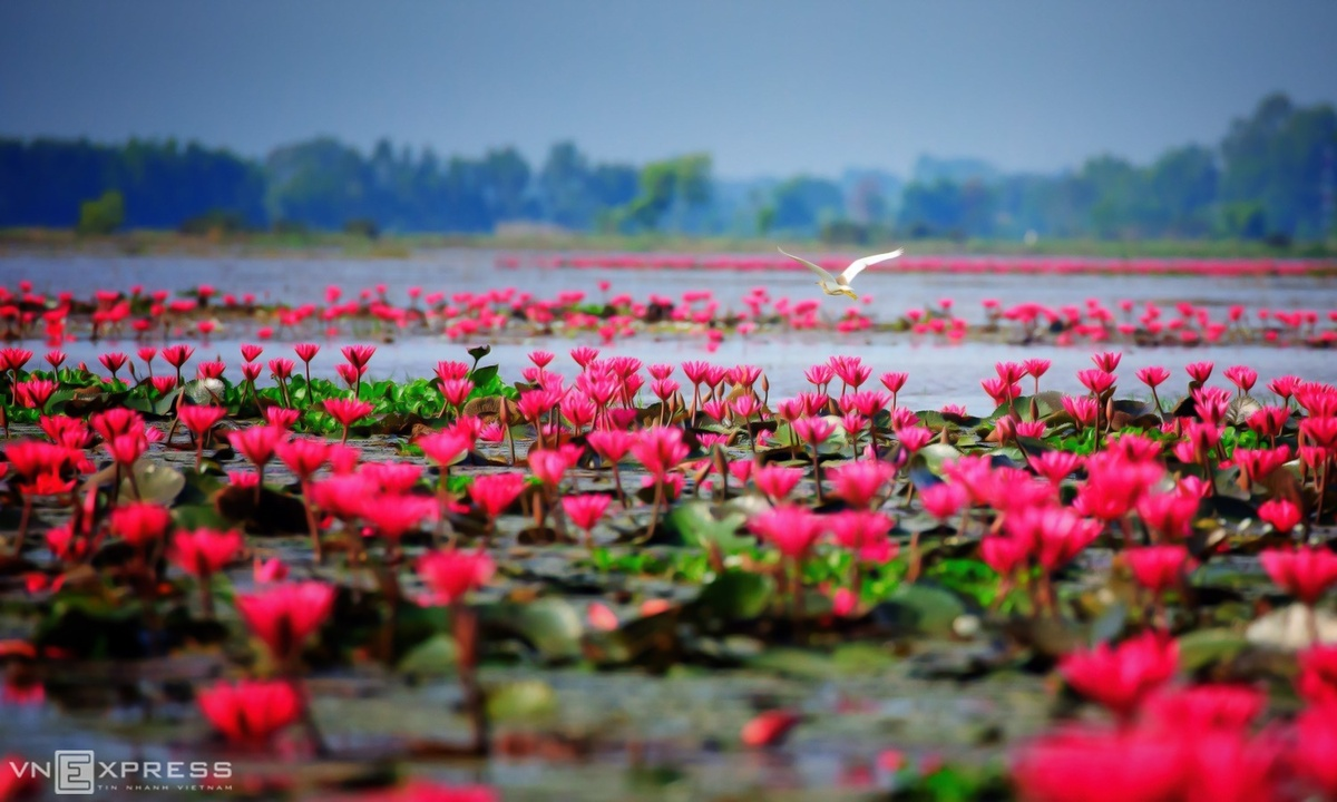 Tranquil hues accentuates beauty of Vietnam’s southeastern province Tranquil hues accentuates beauty of Vietnam’s southeastern province