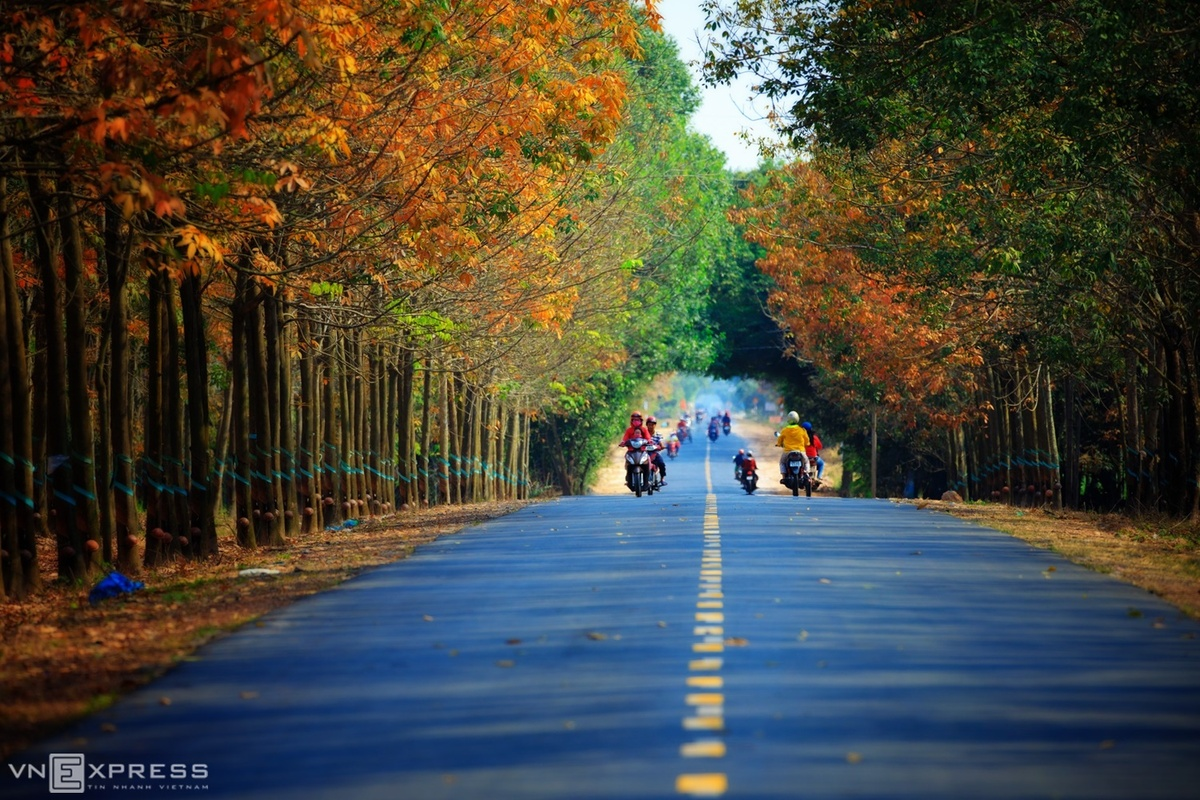 Tranquil hues accentuates beauty of Vietnam’s southeastern province Tranquil hues accentuates beauty of Vietnam’s southeastern province
