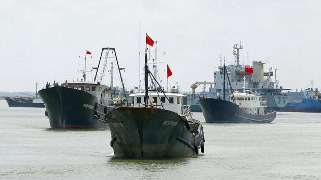 Chinese fishing vessels pose possible threats to seafood resources in Bien Dong Sea 1621 8