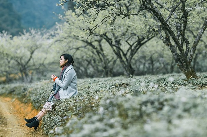 Five picturesque mountainous towns in Northwestern Vietnam Picturesque mountainous towns in Northwestern Vietnam