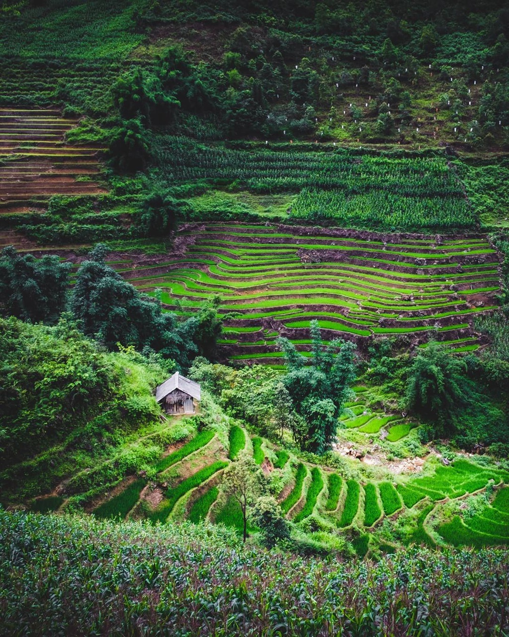 Four captivating valleys in Vietnam Four captivating valleys in Vietnam