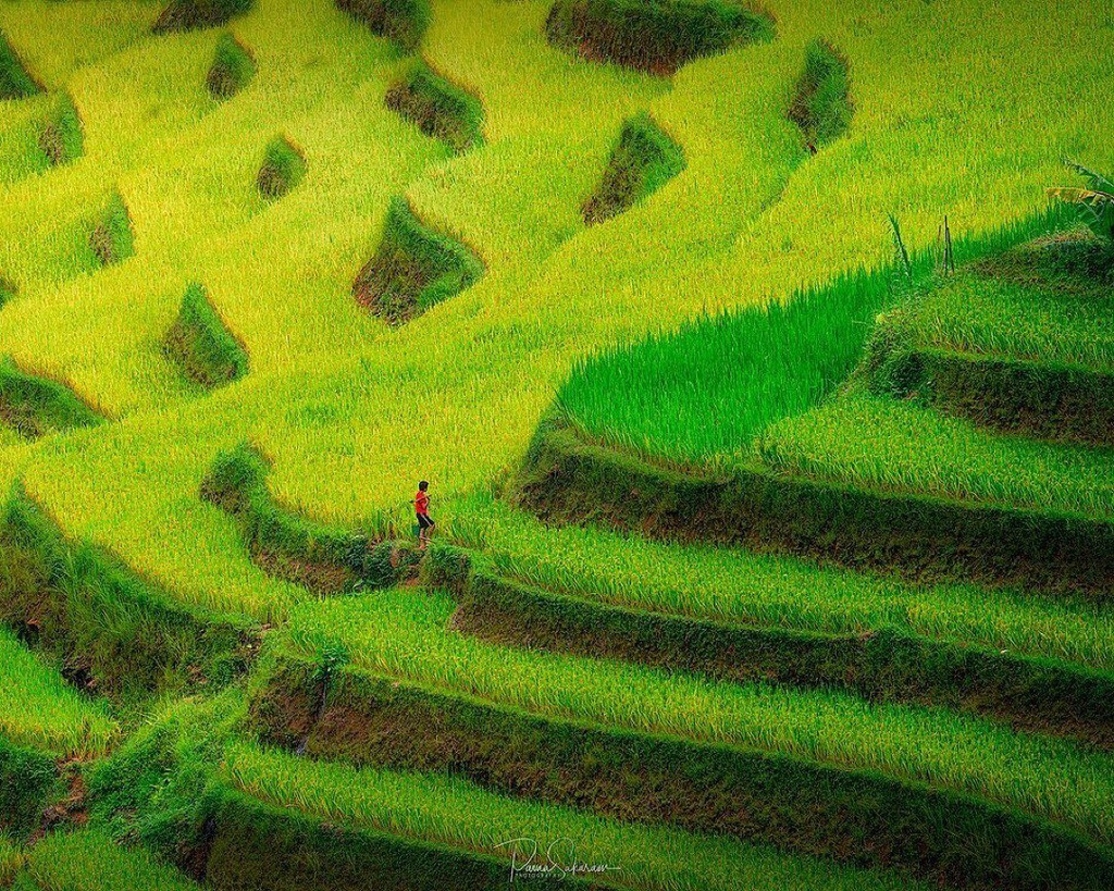 Four captivating valleys in Vietnam Four captivating valleys in Vietnam