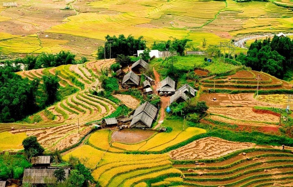 Four captivating valleys in Vietnam Four captivating valleys in Vietnam