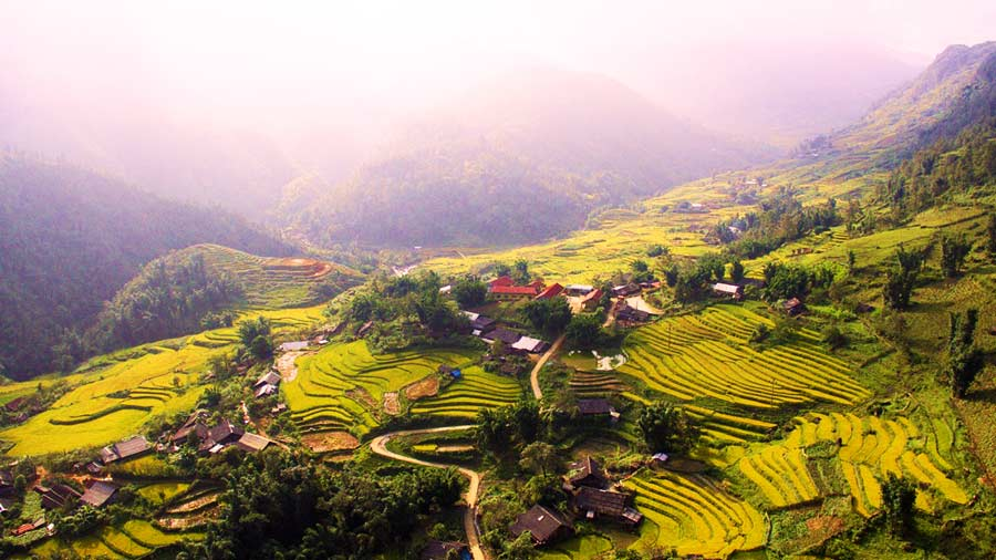 Four captivating valleys in Vietnam Four captivating valleys in Vietnam