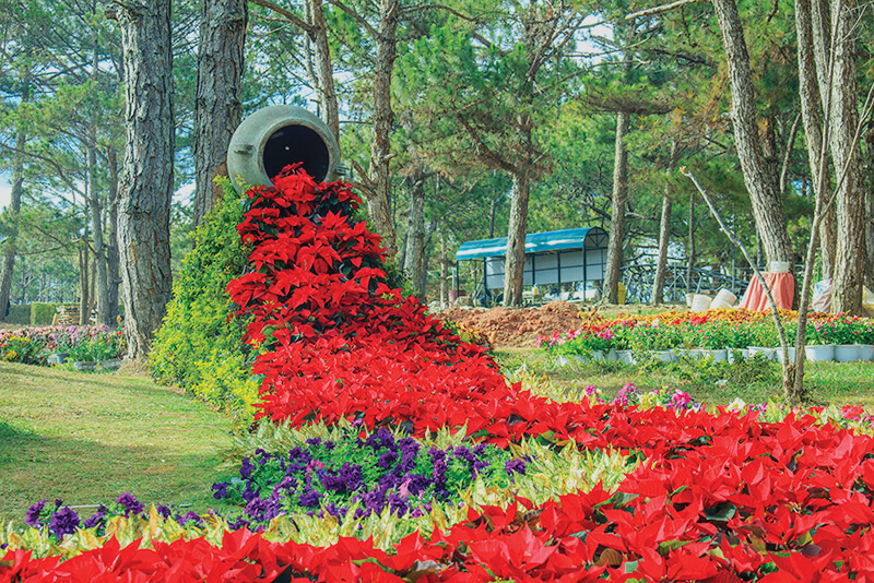 Four captivating valleys in Vietnam Four captivating valleys in Vietnam