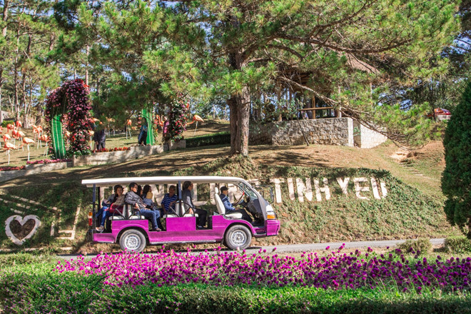 Four captivating valleys in Vietnam Four captivating valleys in Vietnam