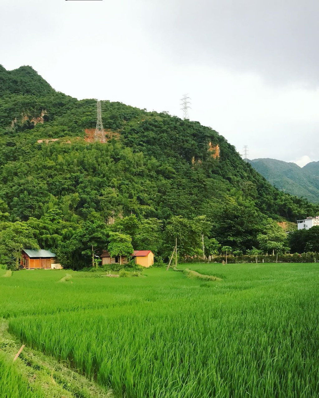 Four captivating valleys in Vietnam Four captivating valleys in Vietnam
