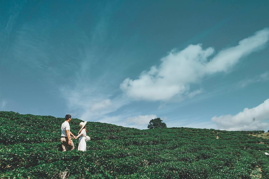 Stunning tourist attractions in Quang Nam Province Stunning tourist attractions in Quang Nam Province