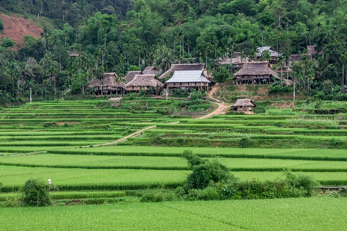 Travel guide for an unforgettable trip to Pu Luong, secluded place in Northern Vietnam Travel guide for an unforgettable trip to Pu Luong, secluded place in Northern Vietnam
