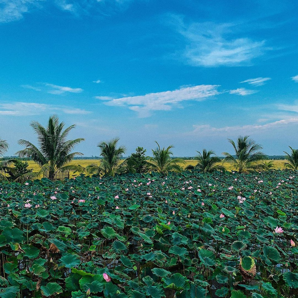 Exploring Western Vietnam in watery season Exploring Western Vietnam in watery season