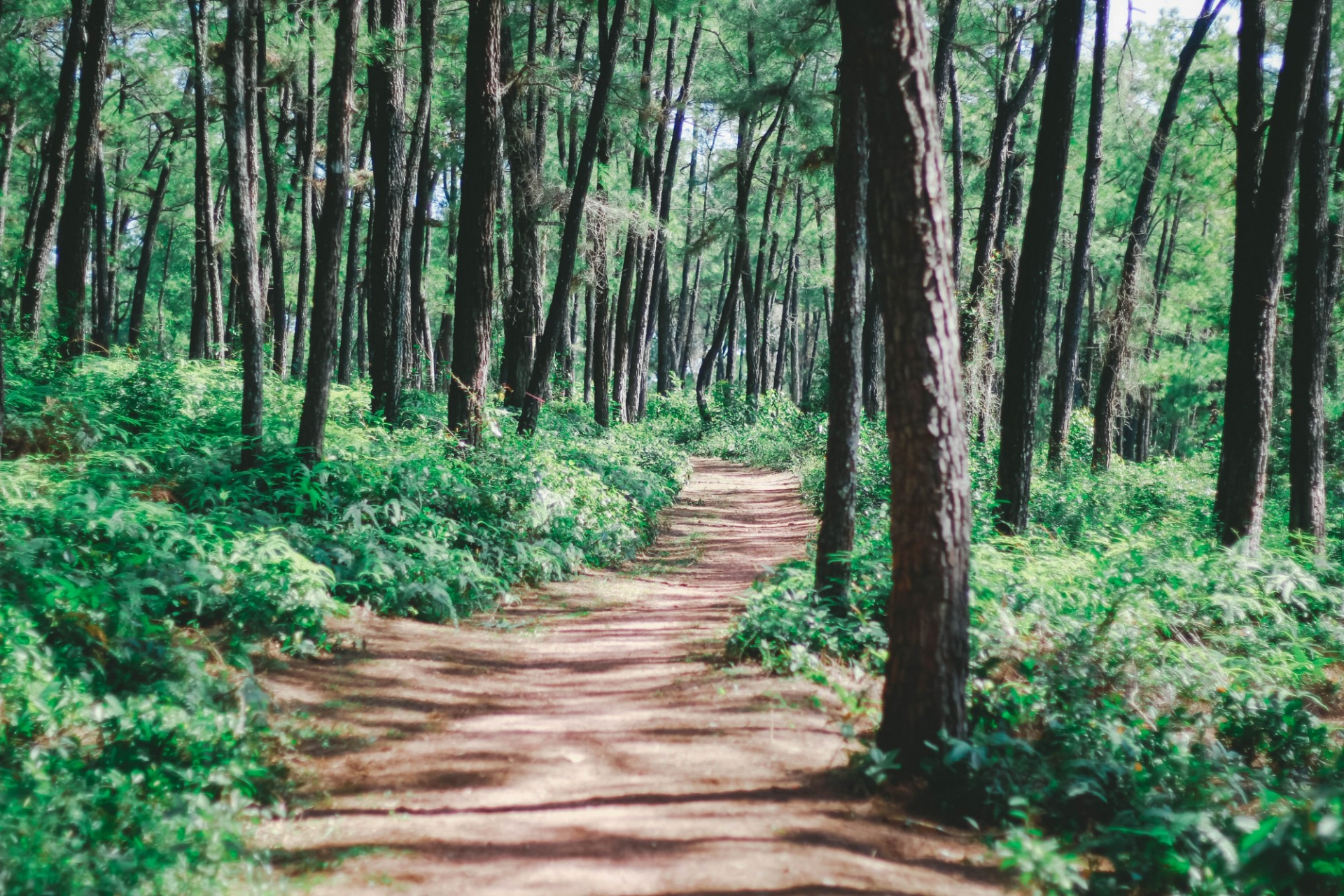 Three picturesque hills in Hue for serenity-seekers Three picturesque hills in Hue for serenity-seekers