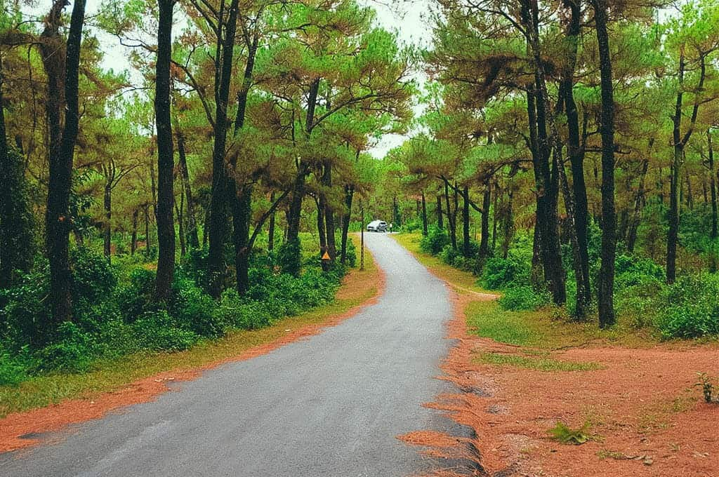 Three picturesque hills in Hue for serenity-seekers Three picturesque hills in Hue for serenity-seekers
