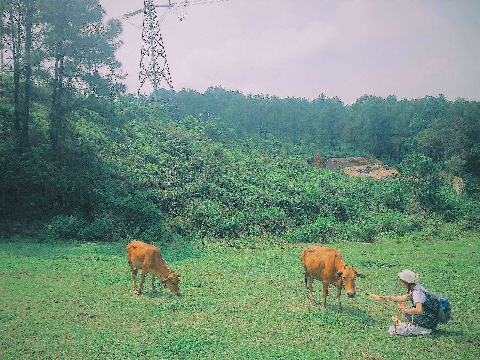 Three picturesque hills in Hue for serenity-seekers Three picturesque hills in Hue for serenity-seekers