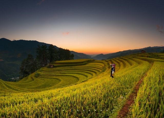 mu cang chai an ideal place to admire milky way