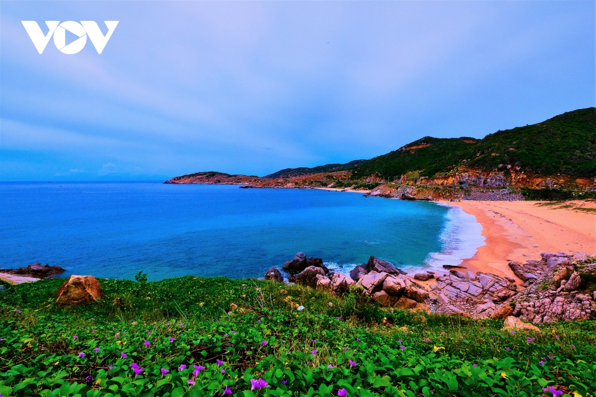 Top destinations in Phan Rang for a memorable trip Top destinations in Phan Rang-Thap Cham for a memorable trip
