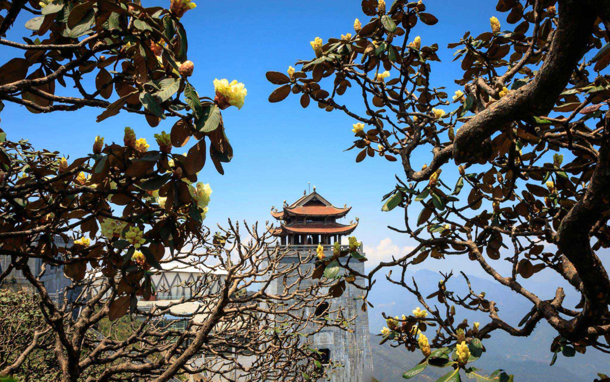 The year-round magical beauty of Fansipan The year-round magical beauty of Fansipan