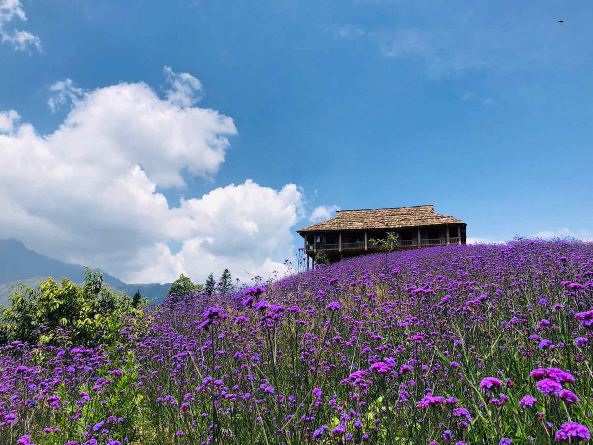 The year-round magical beauty of Fansipan The year-round magical beauty of Fansipan