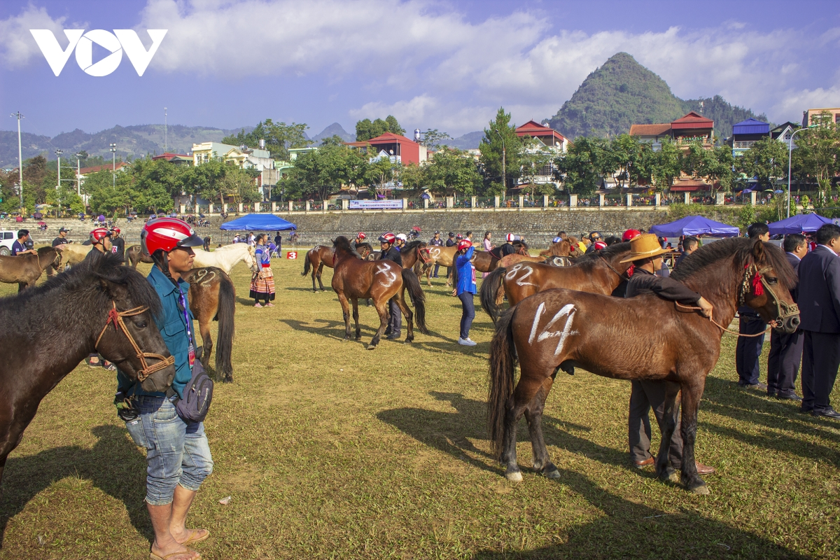 Unique wintery festival on Bac Ha Plateau kicks off Unique wintery festival on Bac Ha Plateau kicks off