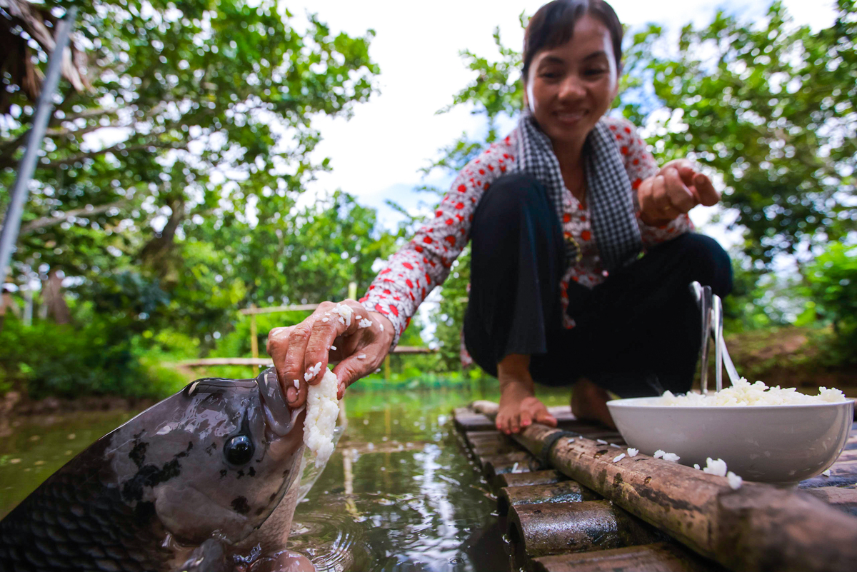 Interesting experiences that only found in Vietnam’s Western region Interesting experiences that only found in Western Vietnam