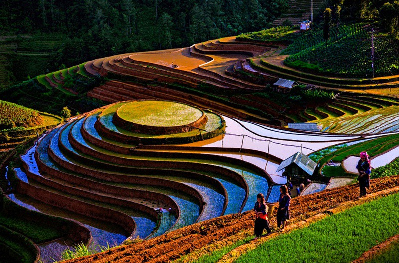 Majestic beauty of the highest mountain range in Vietnam Majestic beauty of Vietnam's highest mountain range