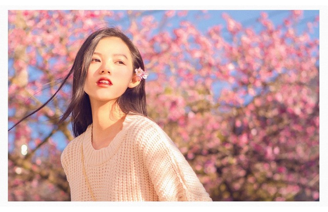 Blooming cherry blossoms adds allure to already beauty of Sa Pa Blooming cherry blossoms adds allure to beauty of Sa Pa