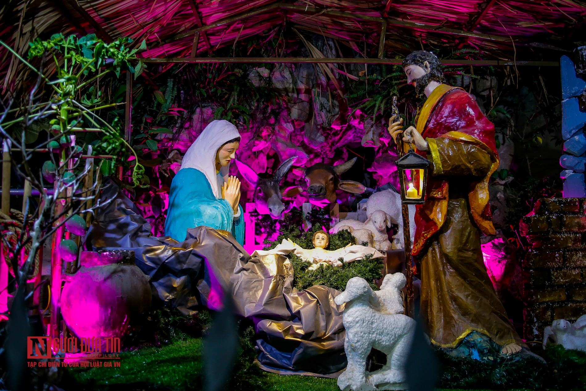 In photos: Churches in Hanoi splendidly decorated for Christmas In photos: Churches in Hanoi splendidly decorated for Christmas
