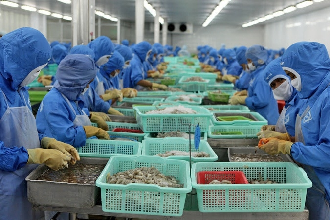 Vietnam’s shrimp exports expected to increase by more than 12% in 2020 Vietnam’s shrimp exports expected to increase by more than 12% in 2020