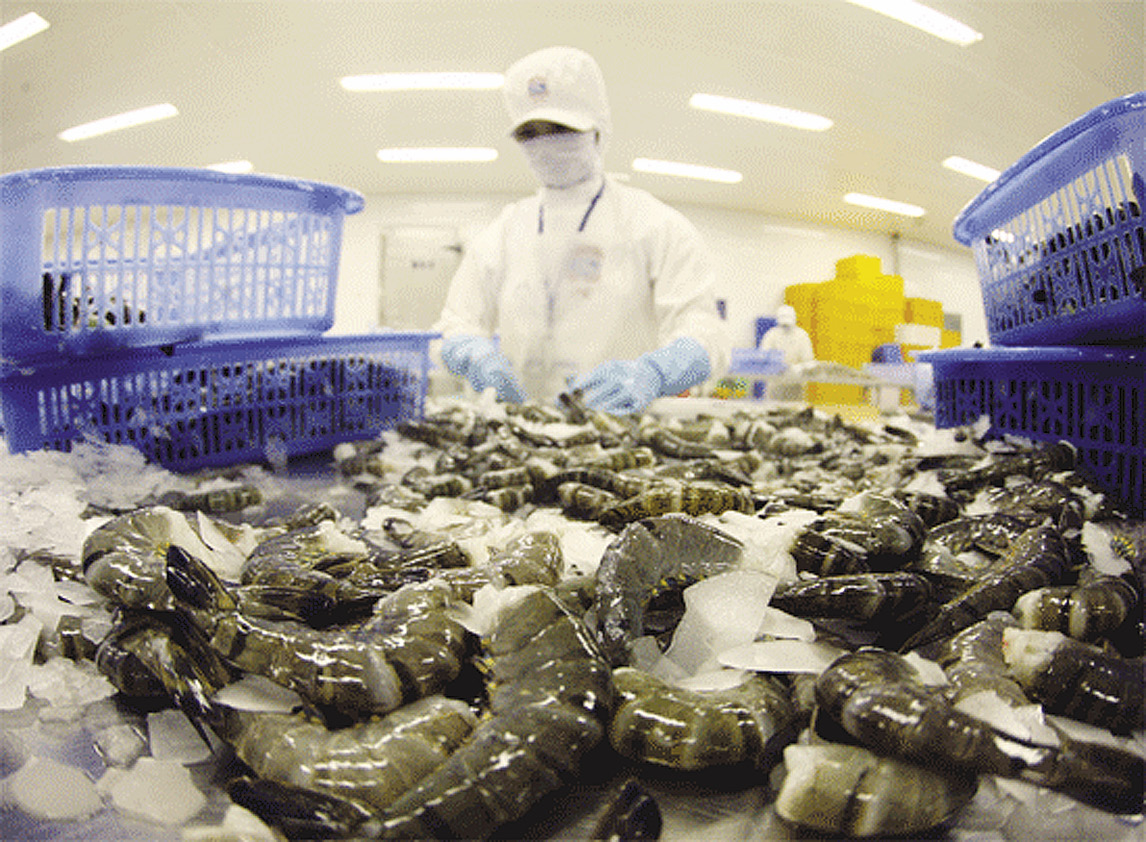 vietnams shrimp exports expected to increase by more than 12 in 2020