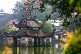 blossoming ablaze red bombax ceiba paints thay pagoda a highlighted sketch