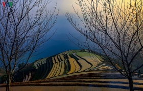 Mesmerizing scenes of terraced field village northwest Vietnam mesmerizing scenes of terraced field village northwest vietnam
