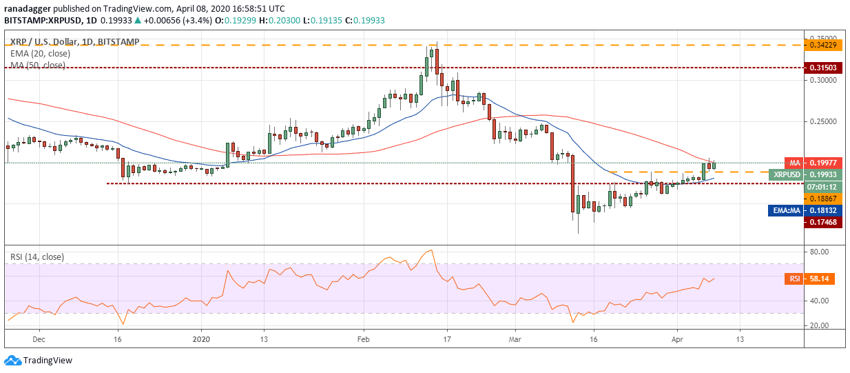 Bitcoin price today: Bitcoin price revives, cryptocurrency market thrives Thursday bitcoin price today bitcoin price revives cryptocurrency market thrives thursday