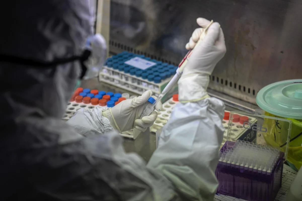 SCMP: Coronavirus mutates into at least 30 different dangerous strains scmp coronavirus mutates into at least 30 different dangerous strains