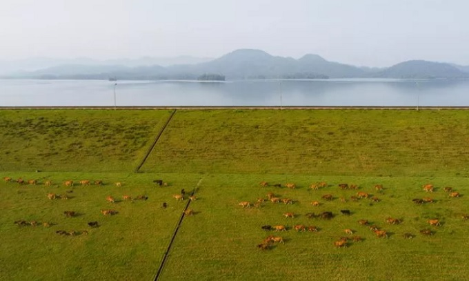 Ke Go Lake- Vietnam’s beguiling oasis in the central province ke go lake vietnams beguiling oasis in the central province