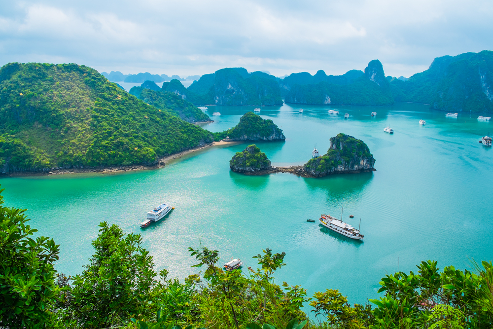 Young Chinese travelers may spike up Vietnam’s post-crisis tourism Young Chinese travelers may spike up Vietnam’s post-crisis tourism