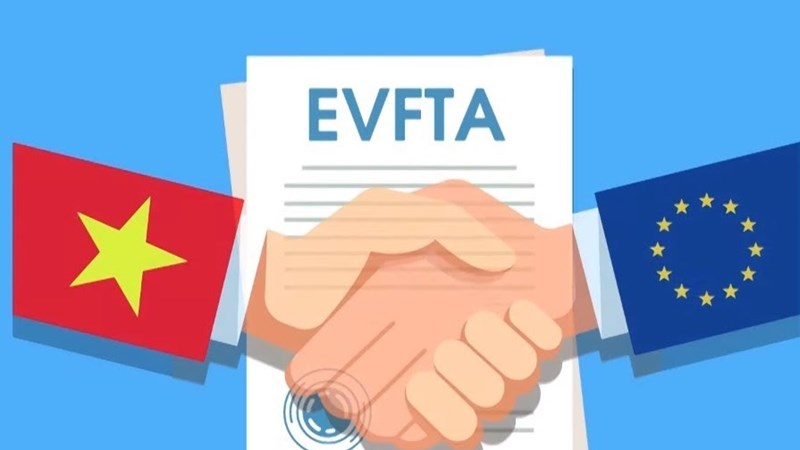 Vietnam News Today: Facebook’s campaign to assist Vietnam in digital economy vietnam news today facebooks campaign to assist vietnam in digital economy