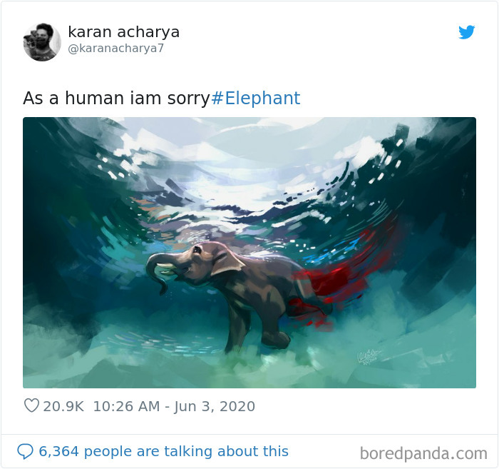 Netizens burst outrage over death of pregnant elephant eating pineapple stuffed with firecrackers netizens burst outrage over death of prenant elephant eating pineapple stuffed with firecrackers