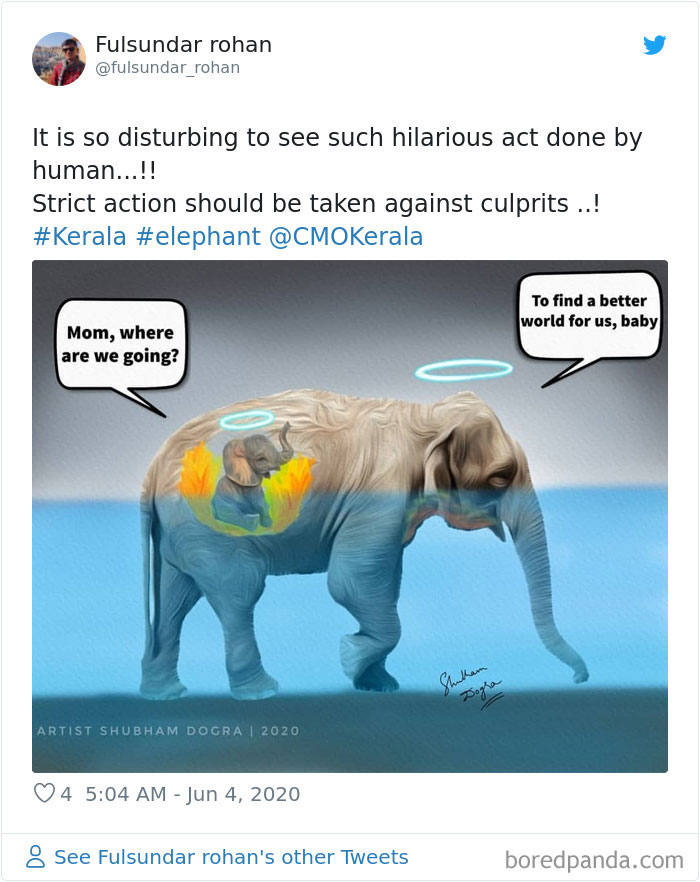 Netizens burst outrage over death of pregnant elephant eating pineapple stuffed with firecrackers netizens burst outrage over death of prenant elephant eating pineapple stuffed with firecrackers