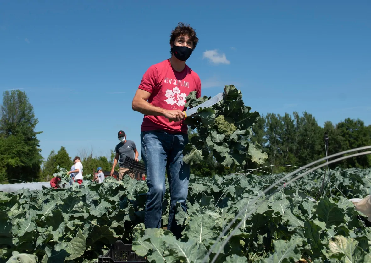 Stay Fresh: Water-rich Winter Fruits and Vegetables Stay Fresh: Water-rich Winter Fruits and Vegetables