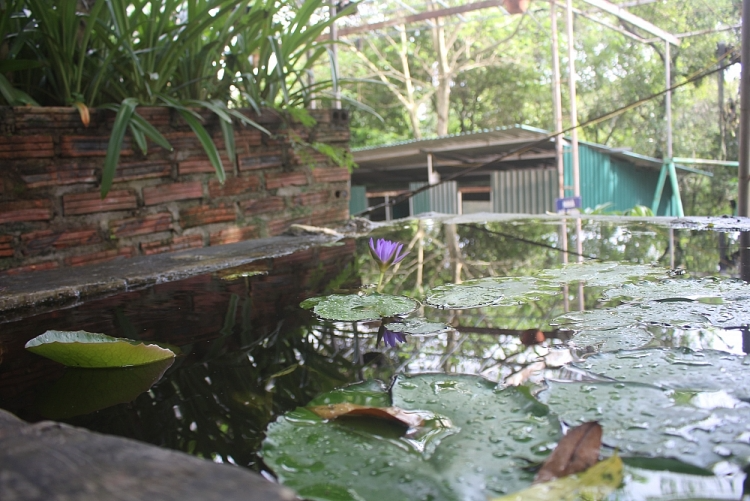 A serene corner at Linh Quang Pagoda. 2113 2