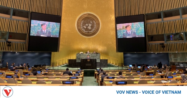 Vietnam upholds role of international law in maintaining peace and security Vietnam upholds role of international law in maintaining peace and security