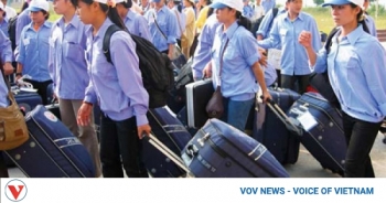 vietnamese labourers to enjoy greater protection when working abroad