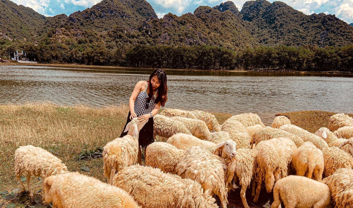 Mua Caves and Gia Vien Sheep field among best places to spend New Year Eve