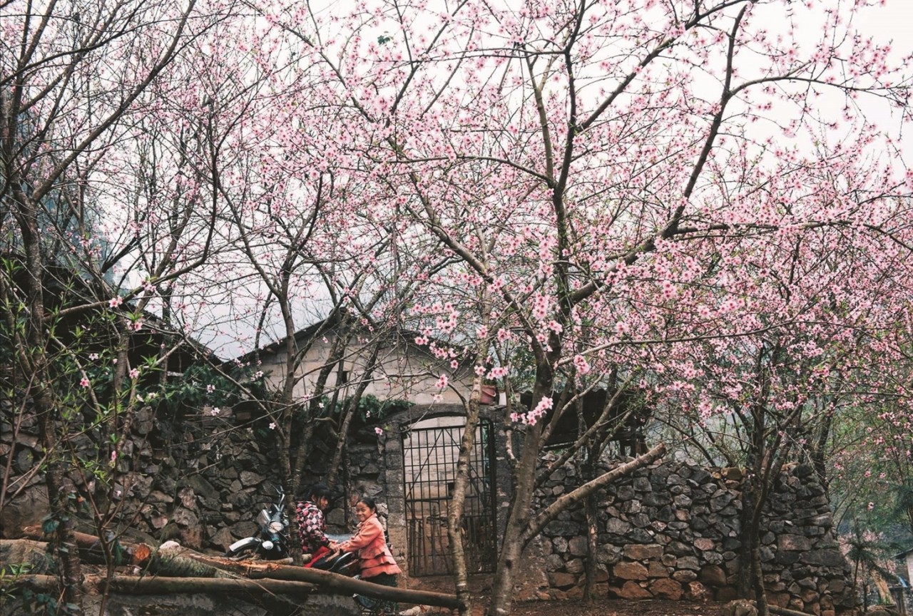 Xuân về trên vùng biên giới Bát Đại Sơn Xuân về trên vùng biên giới Bát Đại Sơn