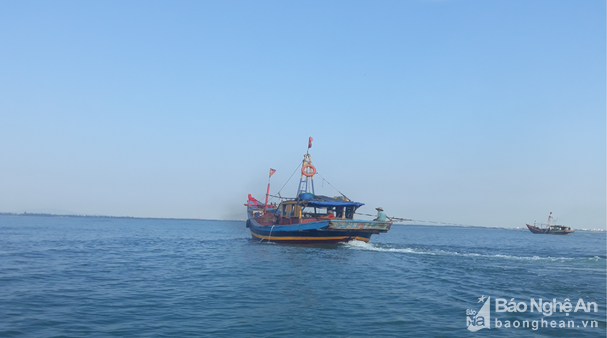 Vi phạm trong khai thác thủy sản, 3 tàu cá bị phạt 22,5 triệu Vi phạm trong khai thác thủy sản, 3 tàu cá bị phạt 22,5 triệu