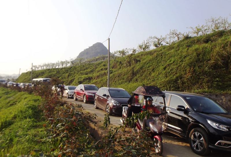 Lên Bắc Hà ngắm hoa lê trắng dịp 8-3 -2