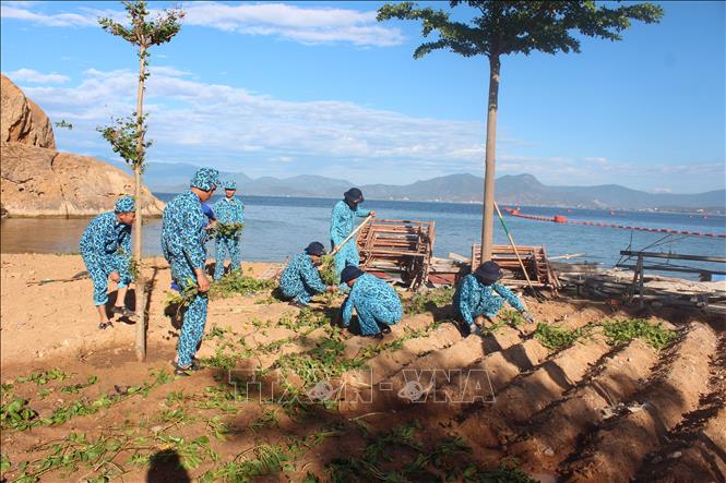 Hiệu quả thiết thực từ mô hình doanh trại Hải quân xanh - sạch - đẹp Chú thích ảnh
